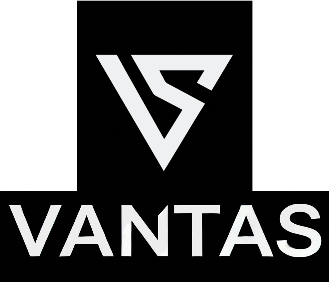 VANTAS - The Black AI Gateway